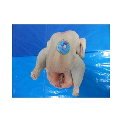 GALLINA PESADA 1ªEURO HALAL-4 UDS 341007