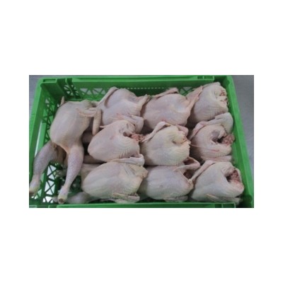 POLLO LIMPIO ET MQ BLA 1 0/10 (1.4) POLLO LIMPIO ET MQ BLA 1 0/10 (1.4)