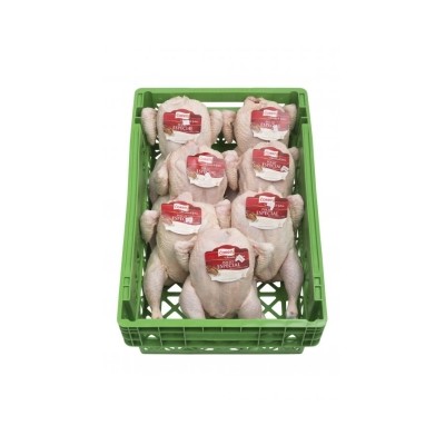 POLLO 7U COREN 341001