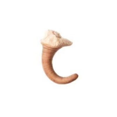 RABOS IBERICOS