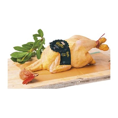 GALLO CORRAL COREN